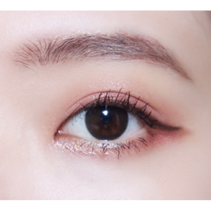 Holoris Classic Black(日拋)